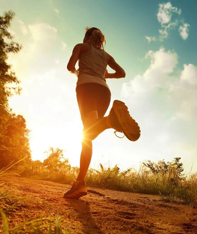 永利集团·yl(中国游)官方网站